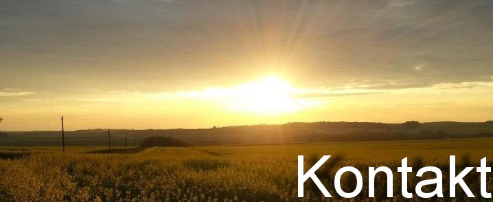Kontakt