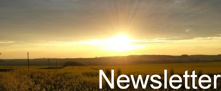 Newsletter